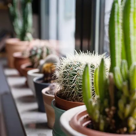 Cosy In With Garden *