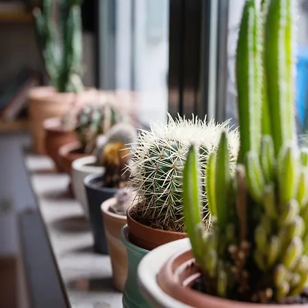 Charmantes Refugium Mit 2 Schlafzimmern * Olsberg