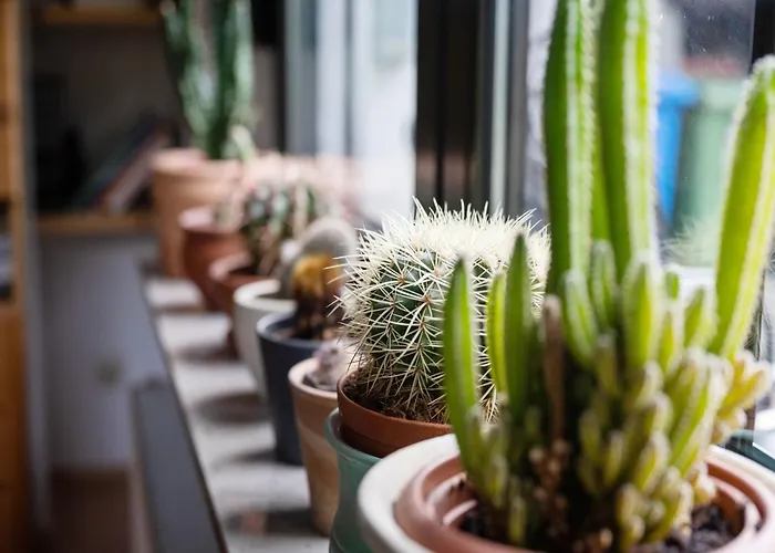 Charmantes Refugium Mit 2 Schlafzimmern * Olsberg
